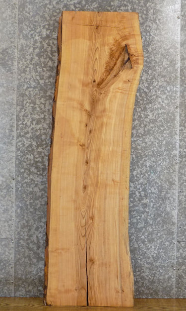 Rustic Live Edge Bark Ash Coffee/Sofa Table Top Wood Slab 4402